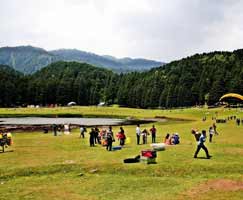 Dalhousie Honeymoon